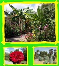 Parc Tropical